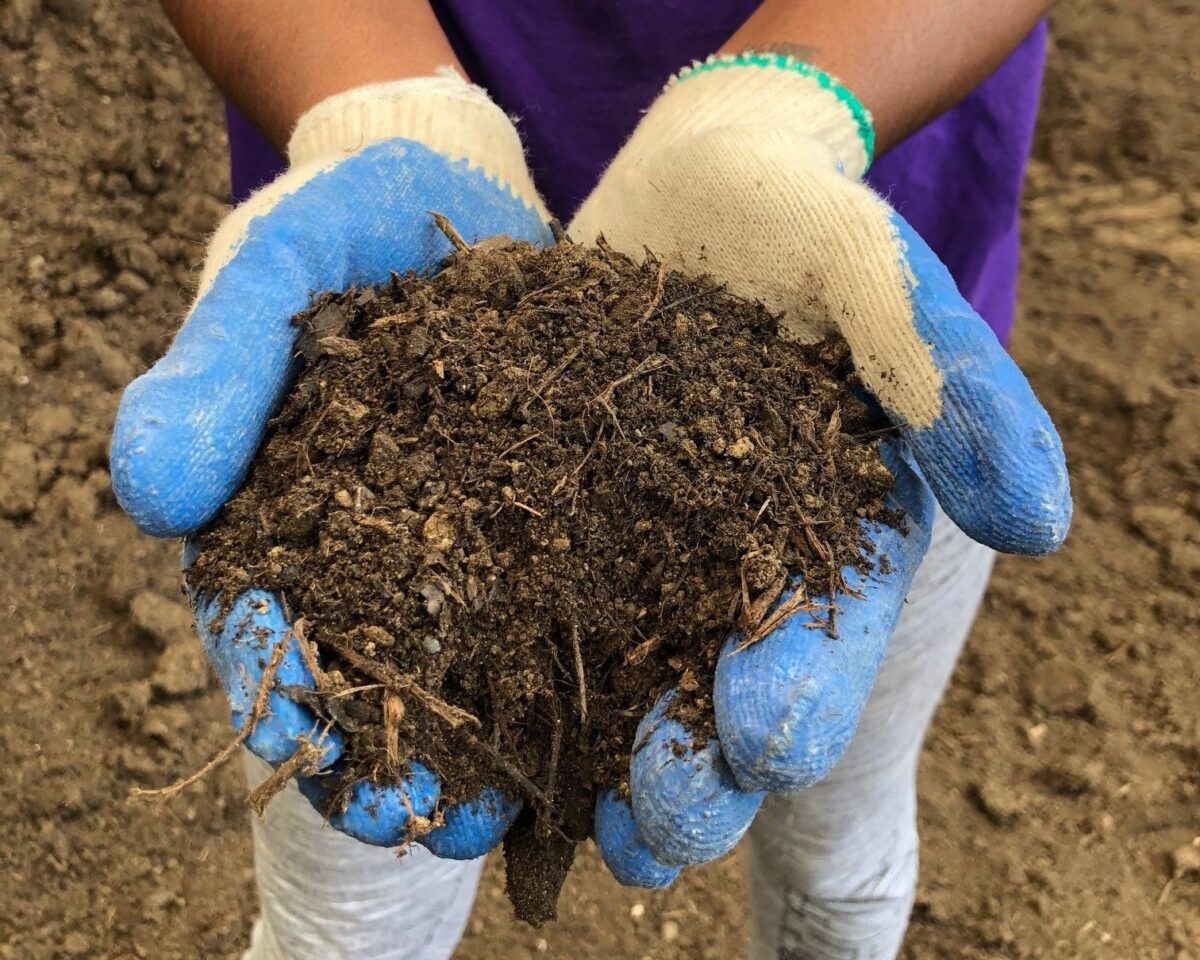 Mushroom Compost (bulk) - Tiffany Lawn & Garden Supply