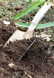 Organic Soil Greenwood, IN | Black & Brown Topsoil Indianapolis