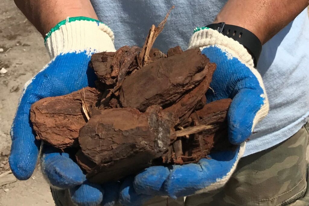 Large Pine Bark Nuggets (bagged) - Tiffany Lawn & Garden Supply