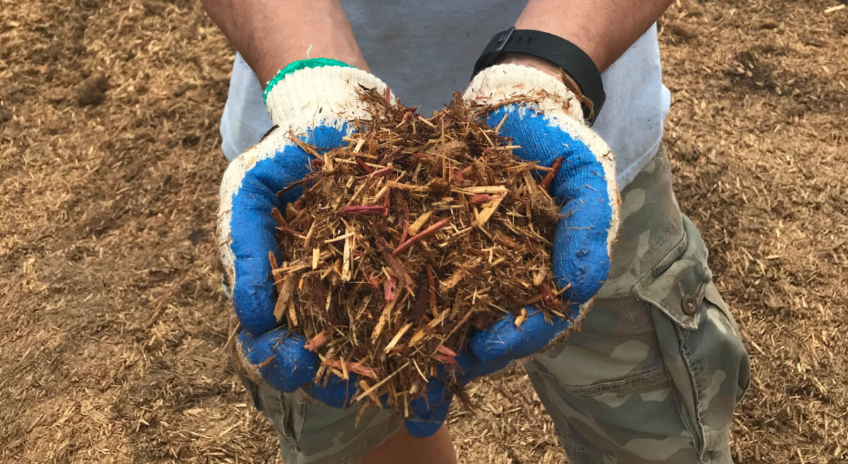 Cedar Mulch - Tiffany Lawn & Garden Supply