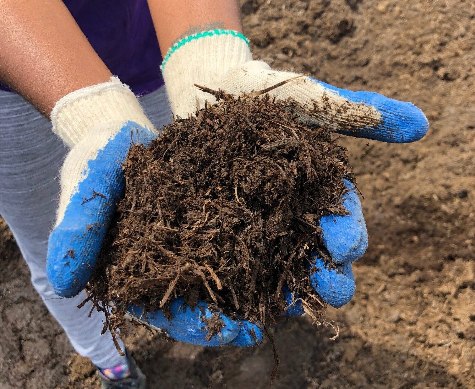 Topsoil Plus MeaningKosh